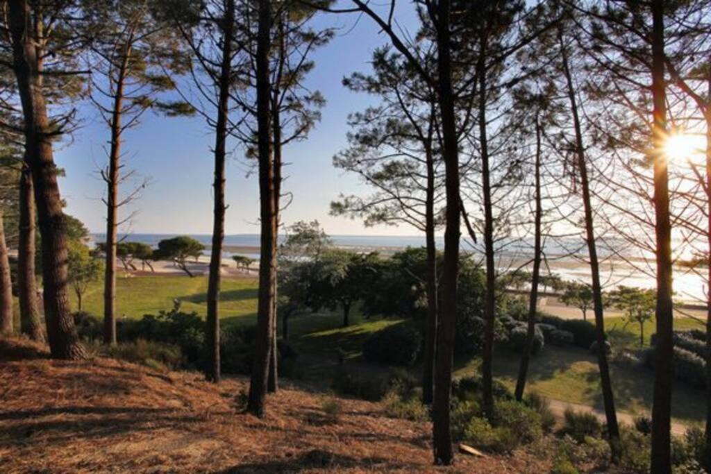 Appart Sur La Plage Pied Dans L Eau Avec Terrasse Jardin Vue Sur Le Bassin Depuis La Terrasse , Parking Arcachon Exteriör bild