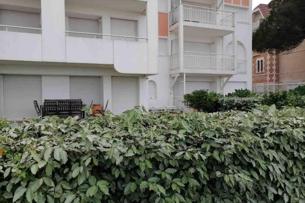 Appart Sur La Plage Pied Dans L Eau Avec Terrasse Jardin Vue Sur Le Bassin Depuis La Terrasse , Parking Arcachon Exteriör bild